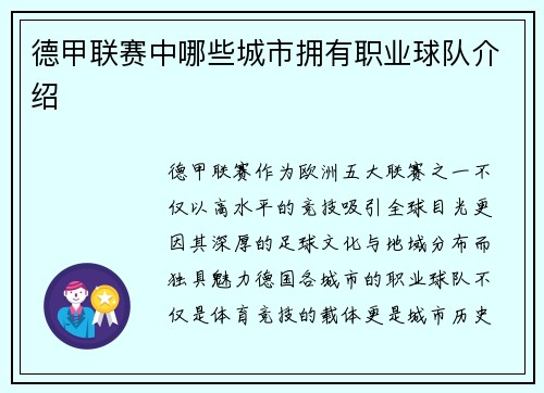 德甲联赛中哪些城市拥有职业球队介绍